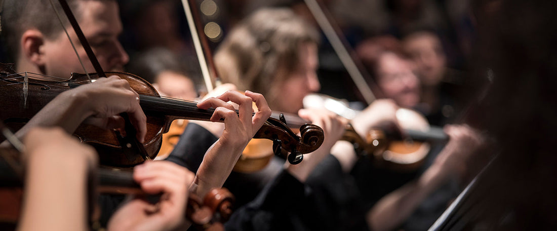 A close up of an orchestra with hands playing the violin