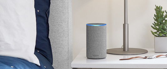 Alexa Promotes Independence for the Elderly and Disabled