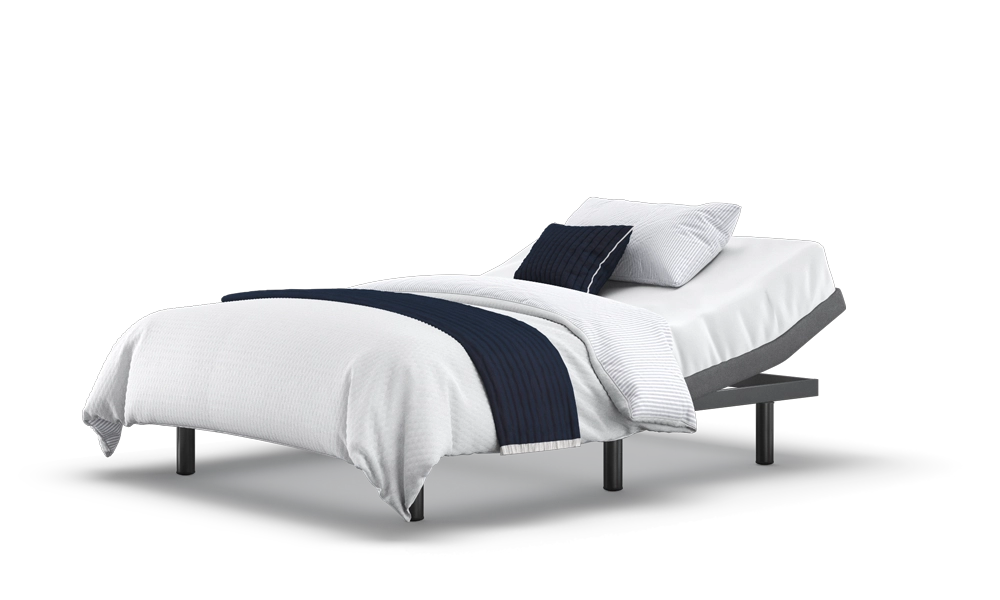 Motion Adjustable Bed Base