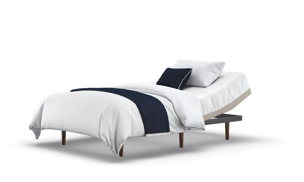 Motion Adjustable Bed Base